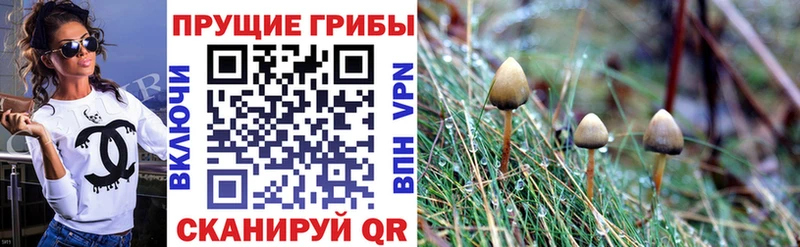 Псилоцибиновые грибы ЛСД  гидра зеркало  Туринск 